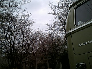 DVC00052.JPG