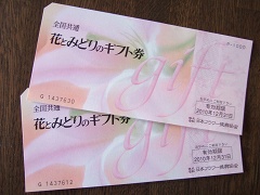 2007_01150050.jpg