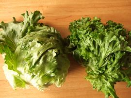レタス　