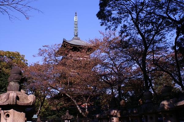 ueno4.jpg