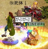わんこ　VS　らびっと