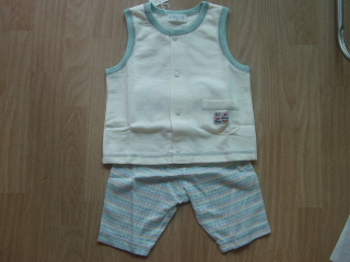 シシュノンセットアップ