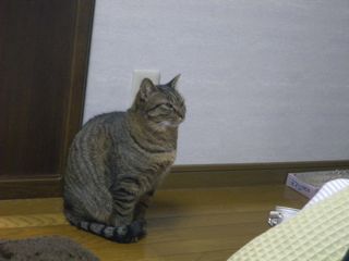 20110104-2.jpg