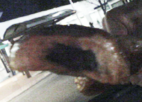 饅頭中身.jpg