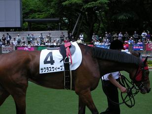 お馬ちゃん