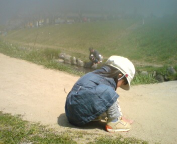 お花見（？）のチビ