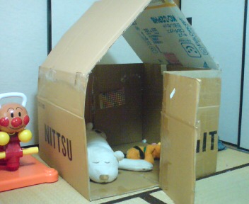 ダンボールのおうち