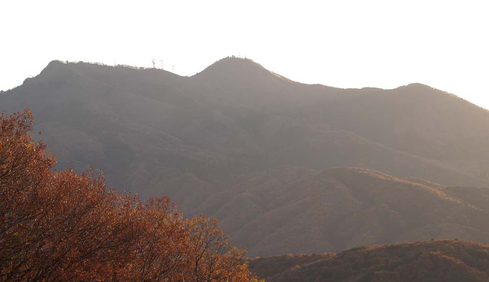 筑波山のほかにも魅力的な山があるのに… | 茨城の自然／シダ・コケ探検隊（県南部地域） - 楽天ブログ