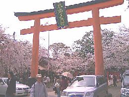 hirano-4