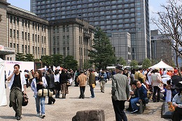 sakura-8
