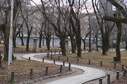 hirano2