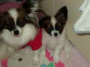 ママの横が一番だもん♪