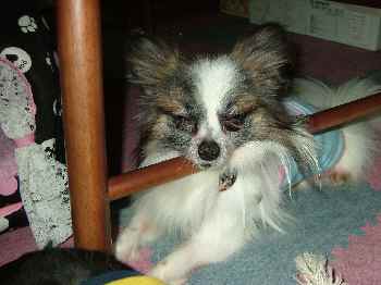 ぼかぁ～ここがいい♪