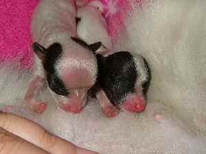 と、としゃか～？！