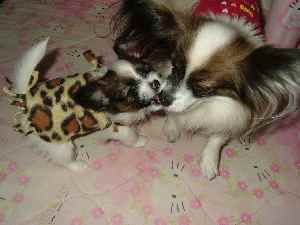 あまえましゅ♪