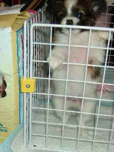 ついに？！？！？！