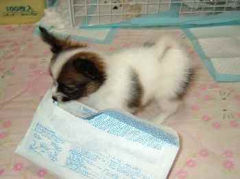 あそぶじぇ～♪