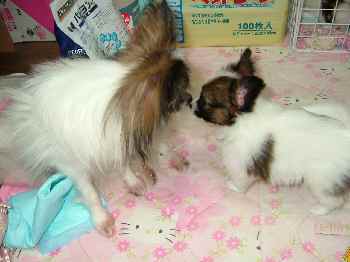 ちゅっ♪（＾３＾）