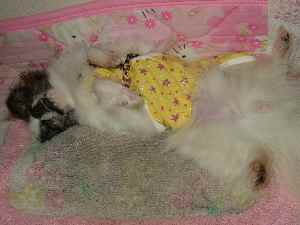 疲れた～ｚｚｚ