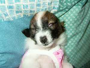 油断大敵（＾ｍ＾）