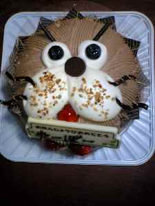 ｱﾆﾏﾙﾗﾝﾄﾞ？