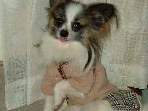 あずきでした♪