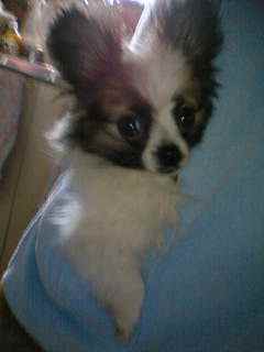 去年の今頃でしたね