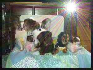 ハイパワ～全快！！