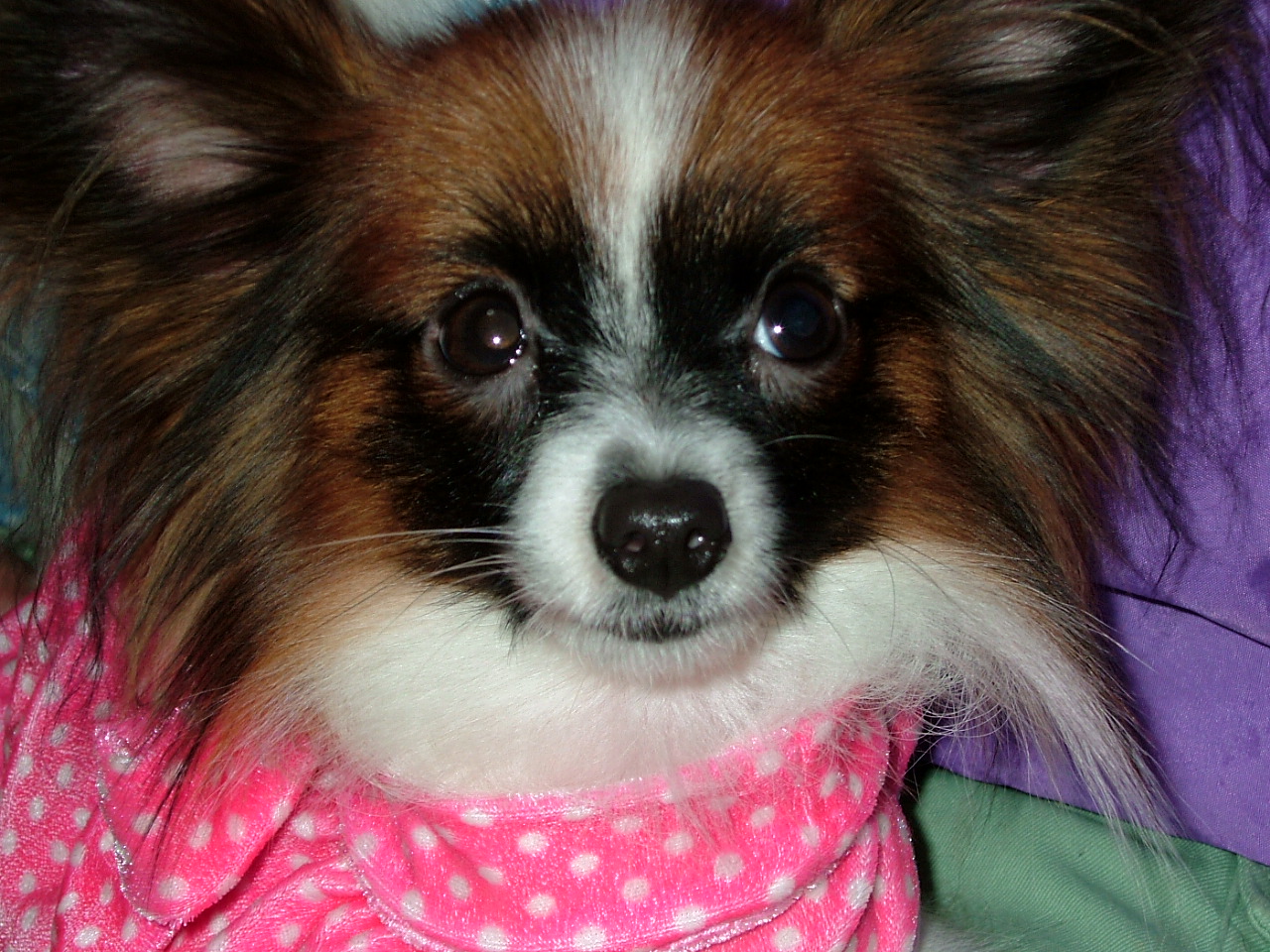 どこいった？？