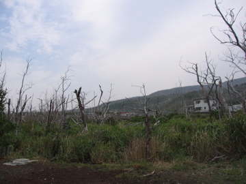 三宅島