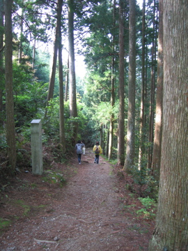 熊野古道