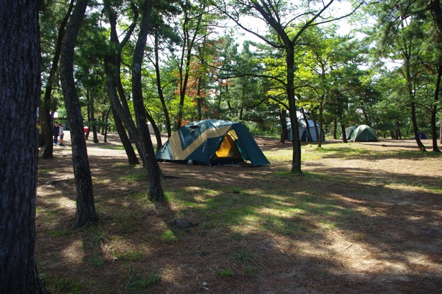 柳茶屋キャンプ場