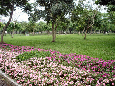 大安森林公園４.jpg