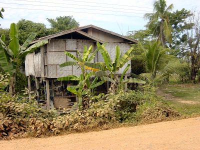 ヴィエンチャン郊外の民家.jpg