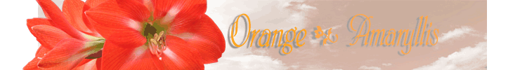 オレンジアマリリスタイトル.gif