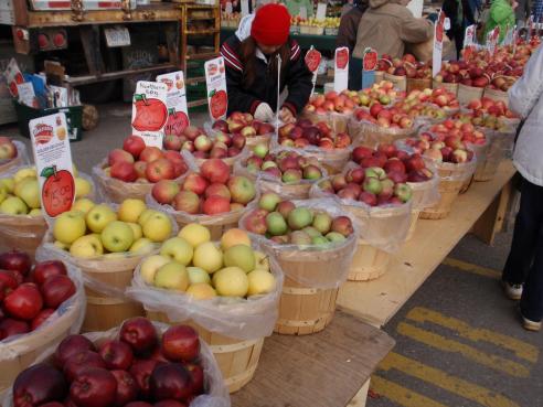 apples at st.jacobs market