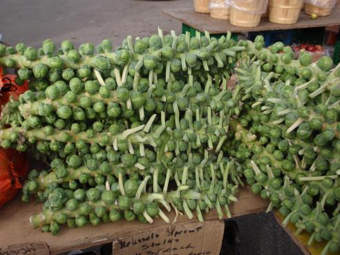 brussel sprouts at st. jacobs market
