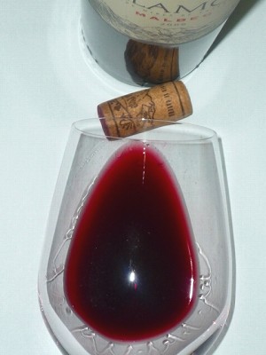 Alamos Malbec2008 glass.jpg