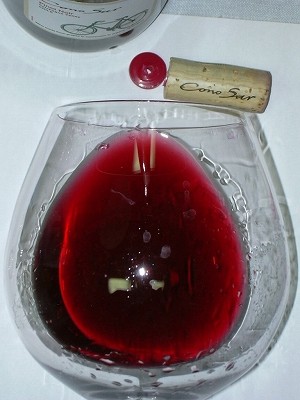 ConoSur PinotNoir2008 glass.jpg