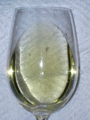 Vigne Elisa Chardonnay glass.jpg