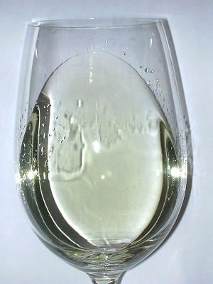 Soleus SB2007 glass.jpg