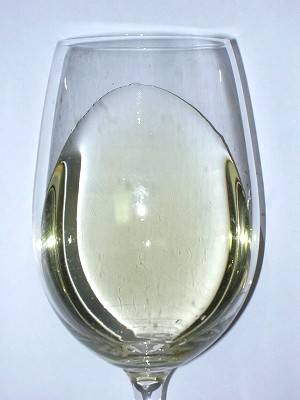 Kaara SB2008 glass.jpg