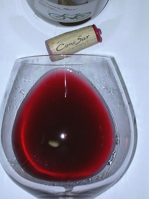 ConoSur PinotNoir2008-2 glass.jpg