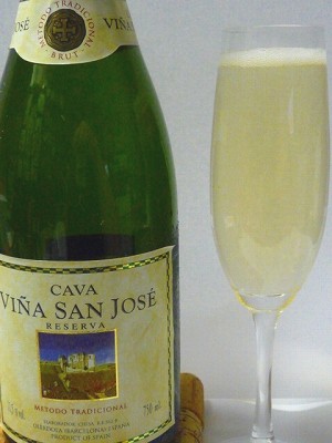 Vina San Jose Reserva glass.jpg