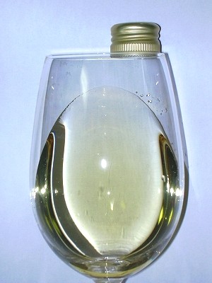 Fuego Austral Chardonnay2009 glass.jpg