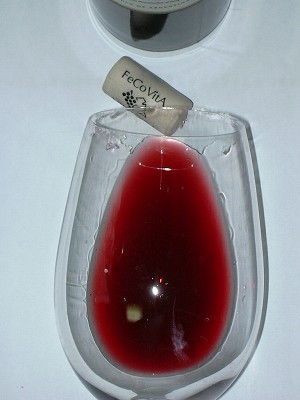 Canciller Malbec2007 glass.jpg