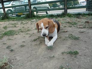 おやついただきました