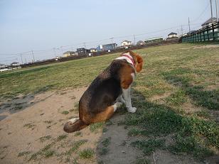 おやつ食べてます