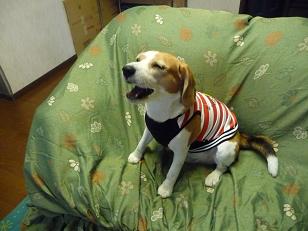 早く終わらせて