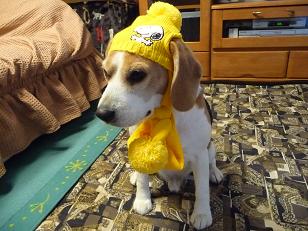 今度はこっち？